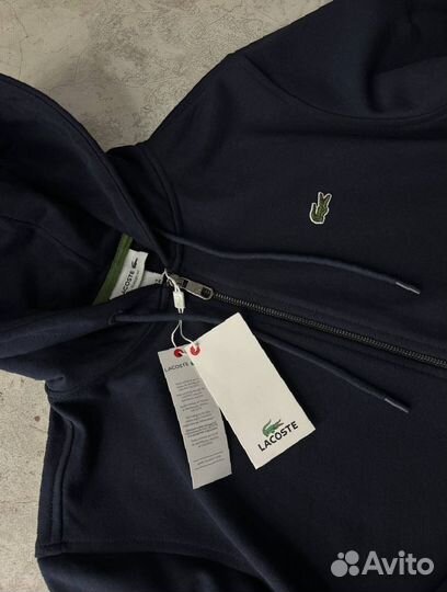 Спортивный костюм Lacoste синий premium мужской