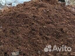 Коровяк, конский, перегной