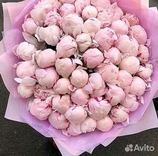 Пионы Розы Доставка