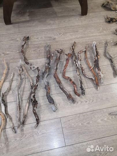 Коряги, ветки, стволы с Чёрного моря (дрифтвуд)