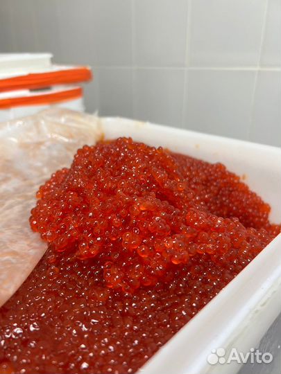 Икра горбуши оптом в самаре