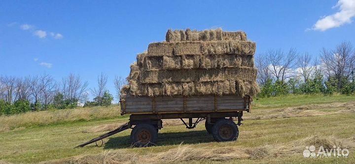 Сено луговое в тюках