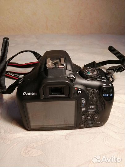 Canon EOS 2000D зеркальный фотоаппарат