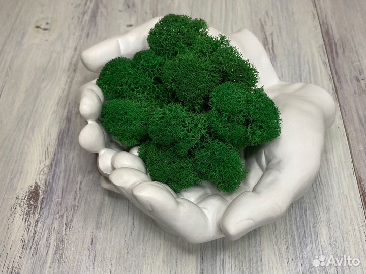 Кашпо руки органайзер