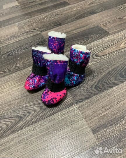 Обувь для собак