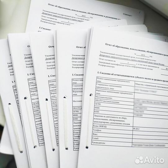 Экологическая отчетность