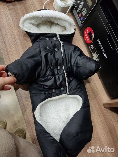 Костюм для собак