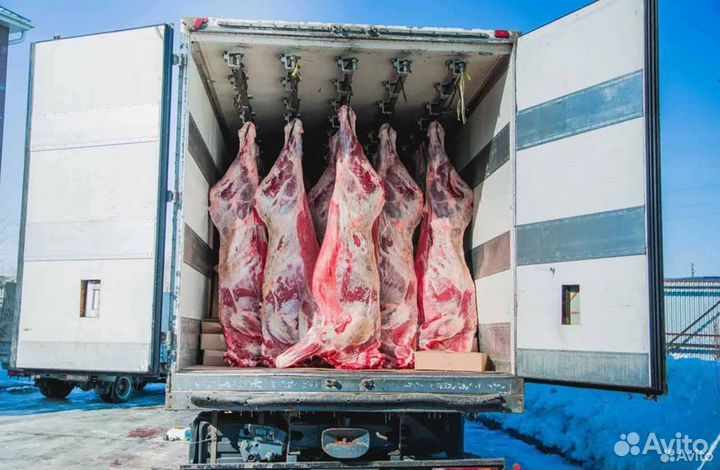 Займ в мясокомбинат, прибыль 1332233 в месяц