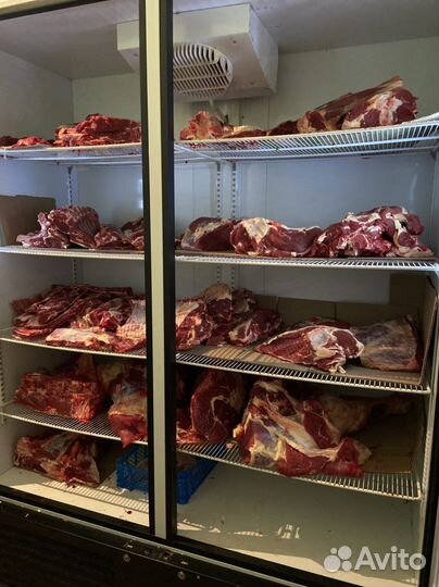 Мясо говядина-телятина