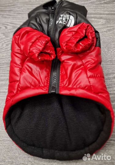 Одежда для собак