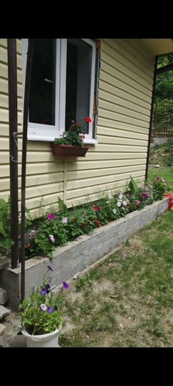 Дом 40 м² на участке 5 сот.