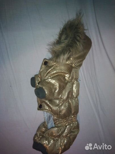 Комбинезон зимний для чихуахуа или той-терьер