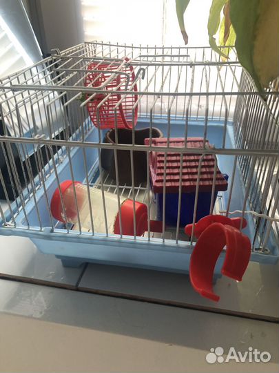 Клетка для грызунов
