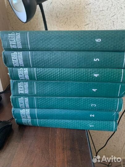 Энциклопедия 