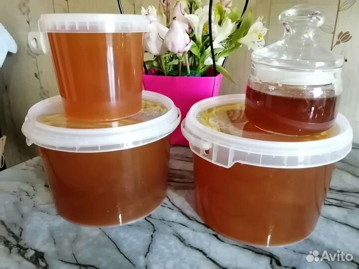 Продам мед 2023