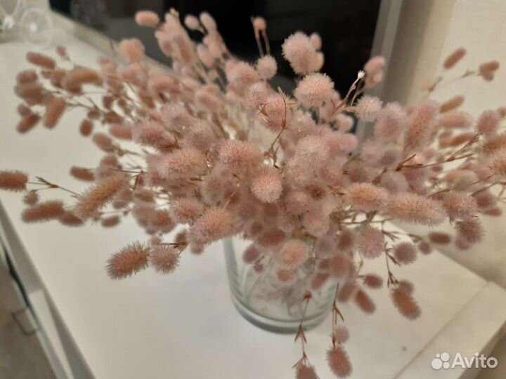 Сухоцветы букет икебана декор decor