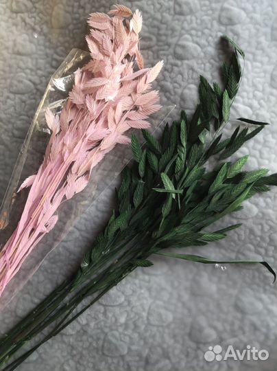 Хасмантиум