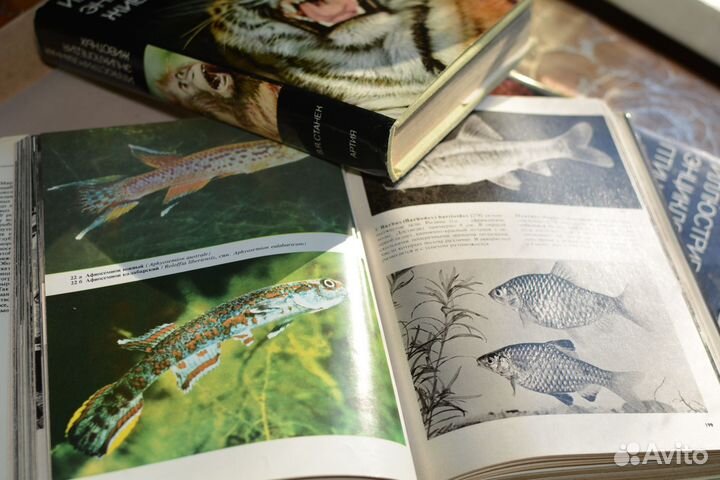 Книги иллюстрированная энциклопедия