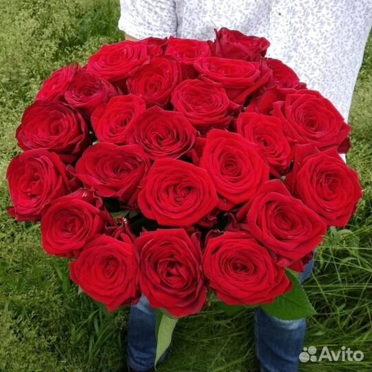 Розы 25 штук