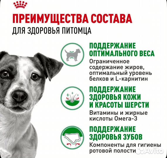 Сухой корм для собак Royal Canin Mini Adult
