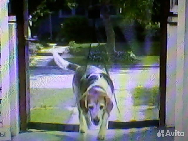 Москитная сетка на дверь