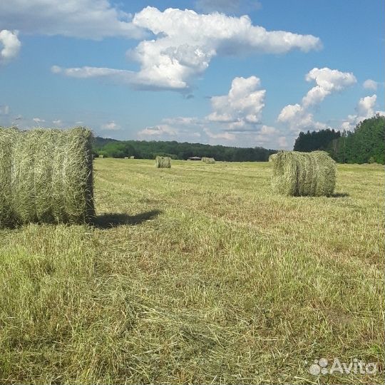 Сено с доставкой