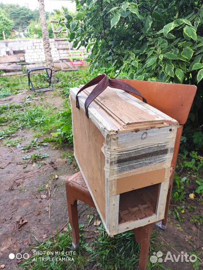 Перевозка для пчелопакетов