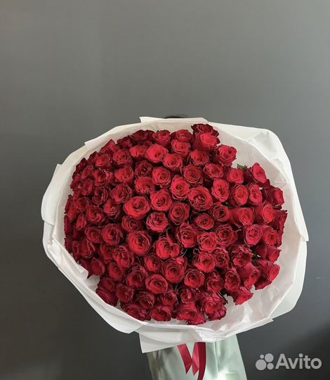 Роза красная 101 крупный бутон