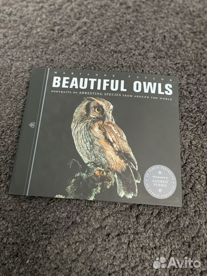 Книга про сов, Beautiful Owls art books