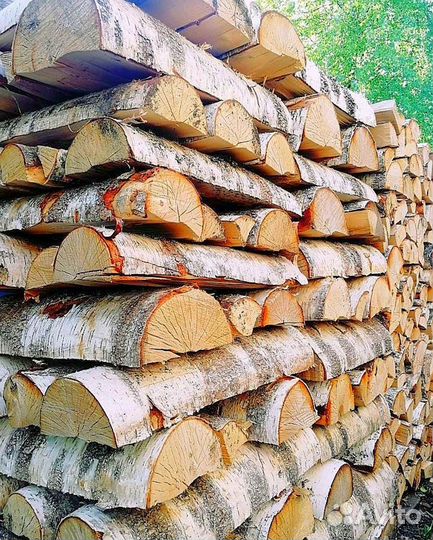 Кольщик пильщик дрова