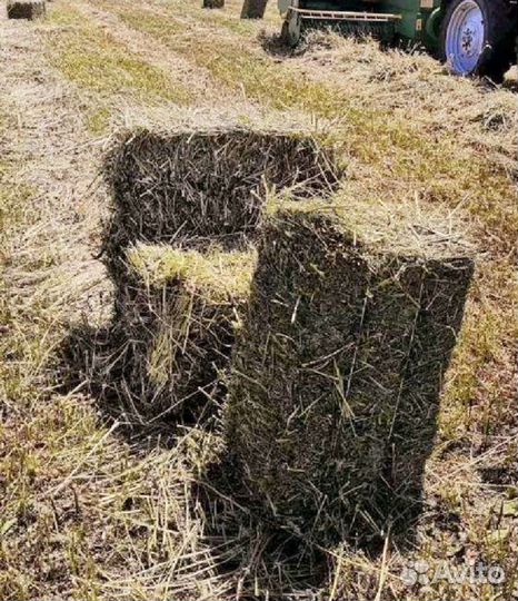 Сено в тюках