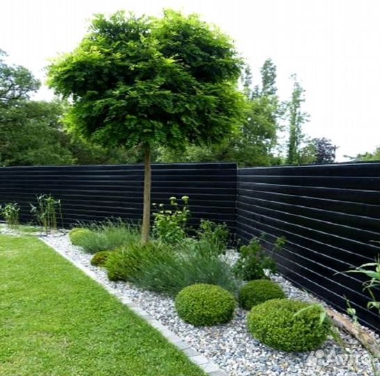 Газон от производителя в наличии