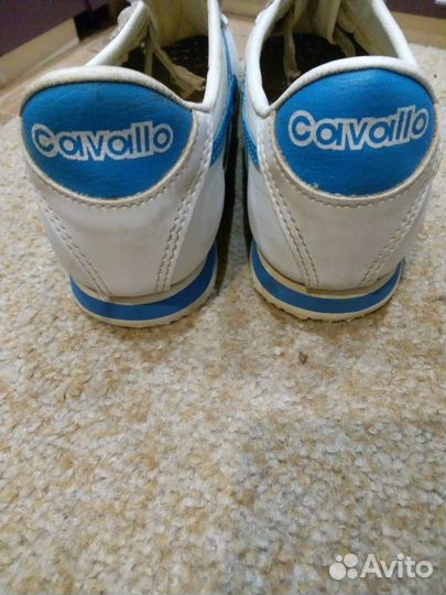Кроссовки cavaiio