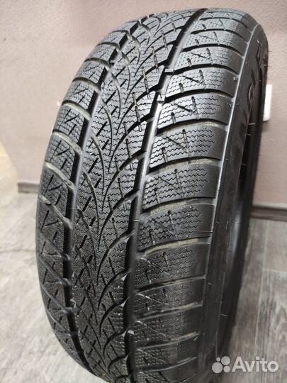 Triangle WinterX TW401 185/55 R15