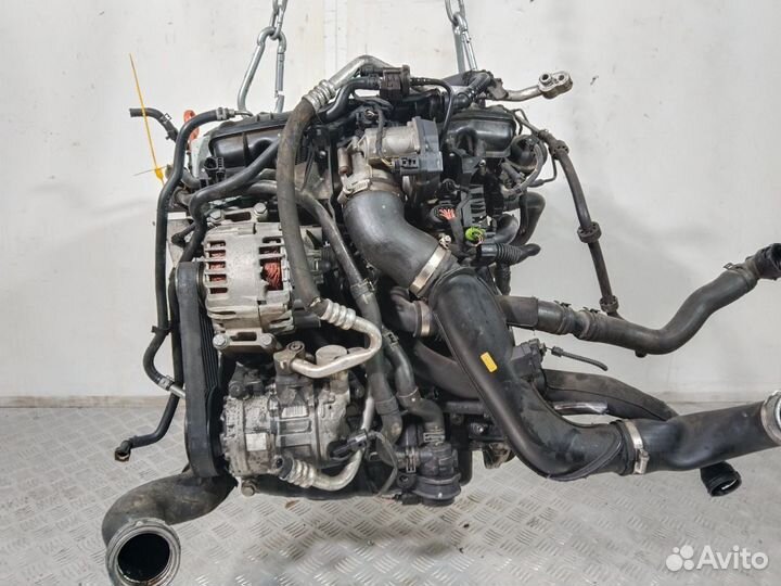 Двигатель BZB Volkswagen Passat B6 1.8 Бензин