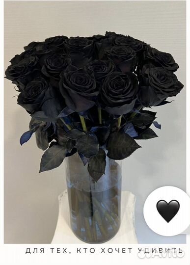 Цветы. Букет из Черных роз