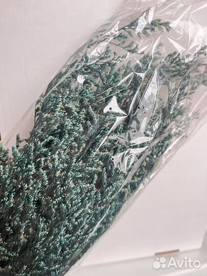 Букеты сухоцветов