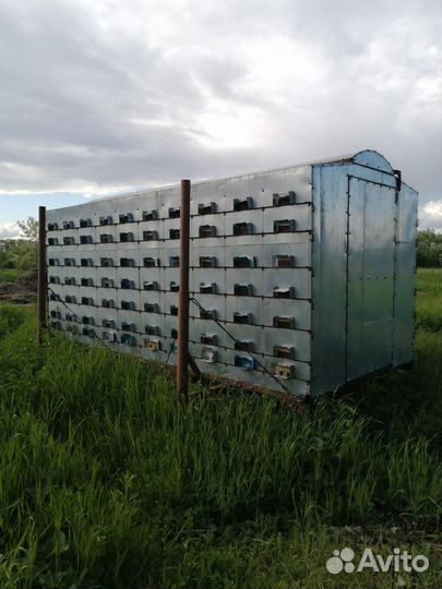 Пчелопавильон