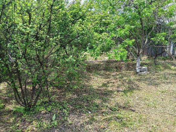 Дом 42 м² на участке 6 сот.