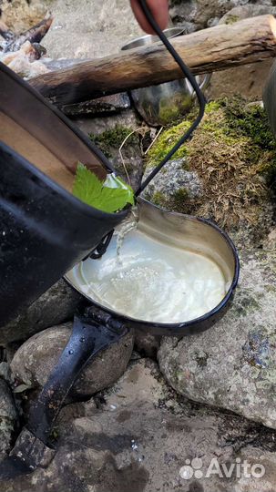 Рыбалка на Телецком