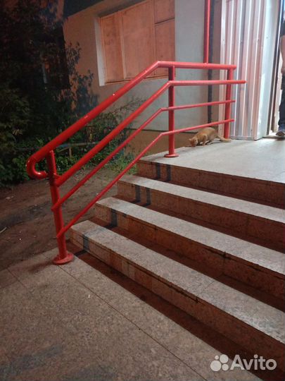 Котята на улице погибают