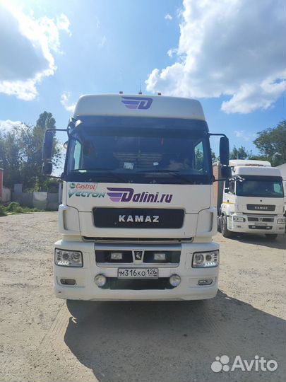 КамАЗ 5490 NEO, 2017