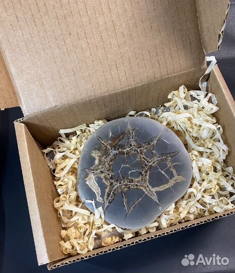 Септария коллекционый образец камни и минералы