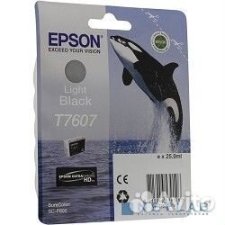 Epson C13T76074010 SC-P600 Light Black (cons ink)