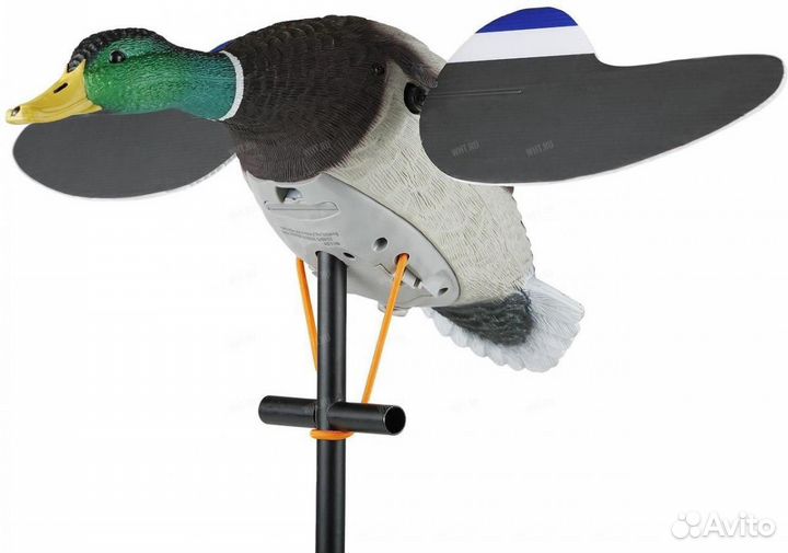 Махокрыл lucky duck