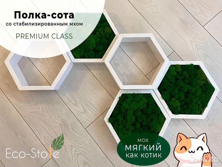 Полка сота из мха без подсветки