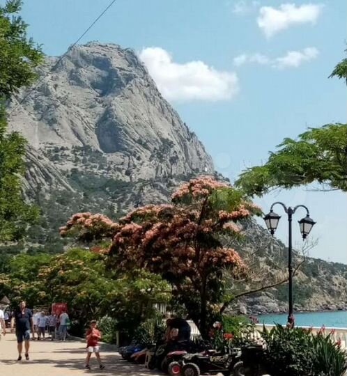 Квартира-студия, 25 м², 1/2 эт.