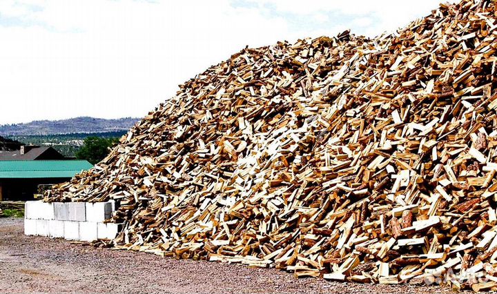 Дрова понимающих