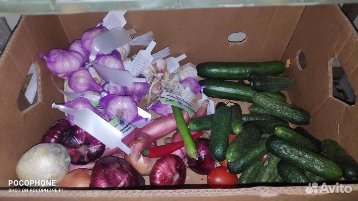 Продукты на корм Просрочка