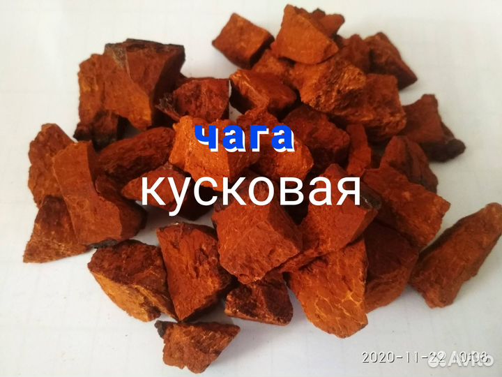 Березовый гриб чага (авитодоставка)